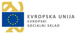 Evropski socialni skladi