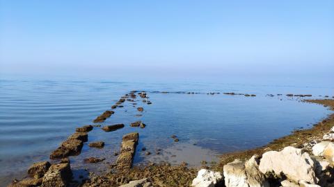 Foto: Tamara Kovačević